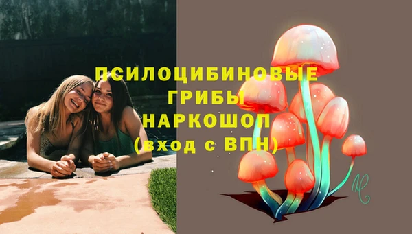 шишки Аркадак
