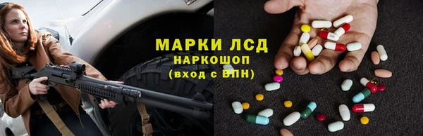 шишки Аркадак