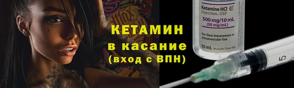 шишки Аркадак