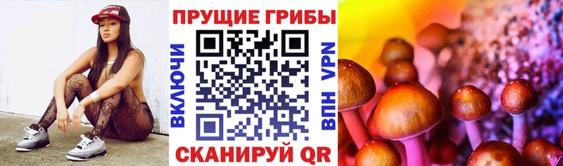 ОМГ ОМГ ONION Магас Псилоцибиновые грибы Psilocybe что такое наркотик
