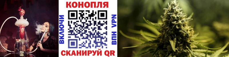 МАРИХУАНА тримм  Магас 